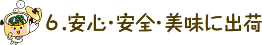 安心・安全・美味に出荷